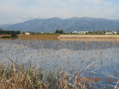 DSCN8004.JPG