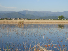 DSCN8005.JPG