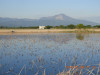DSCN8006.JPG