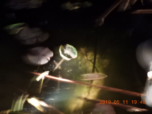 DSCN8057.JPG