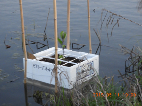 DSCN8053.JPG