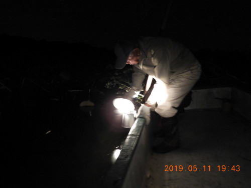 DSCN8056.JPG