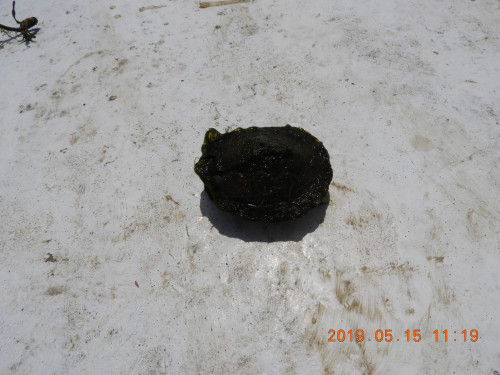 DSCN8109.JPG