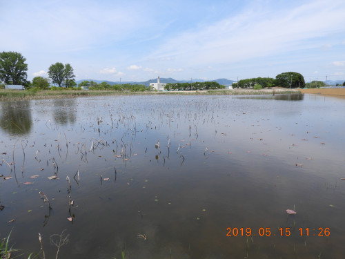 DSCN8112.JPG