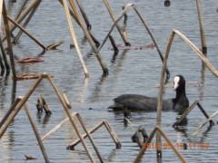 DSCN8114.JPG
