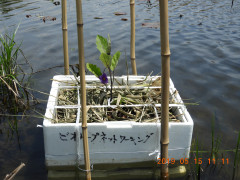 DSCN8107.JPG