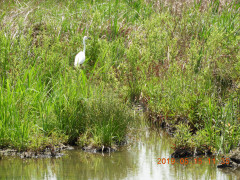 DSCN8121.JPG