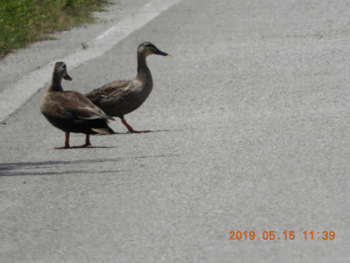 DSCN8124.JPG