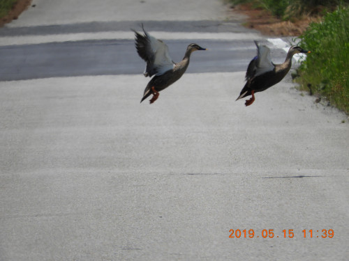 DSCN8125.JPG