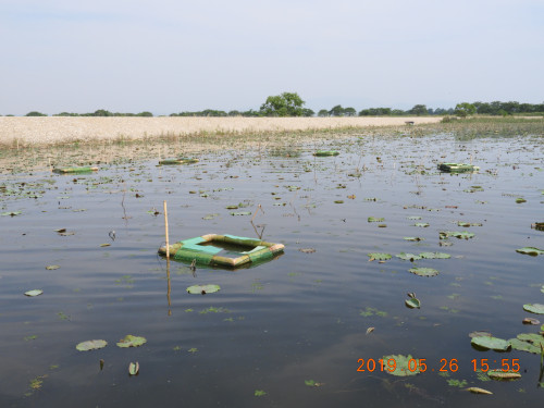 DSCN8193.JPG