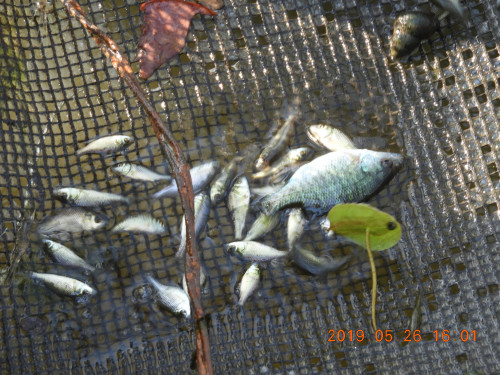 DSCN8195.JPG