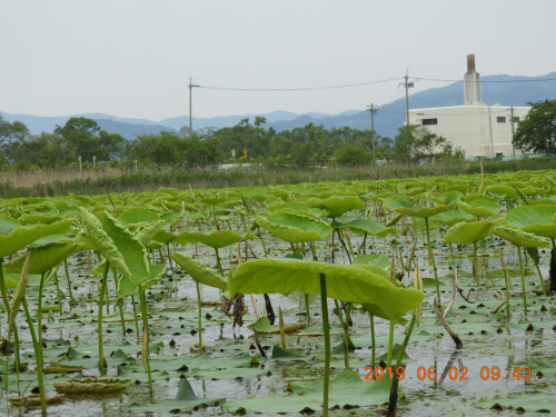 DSCN8235.JPG