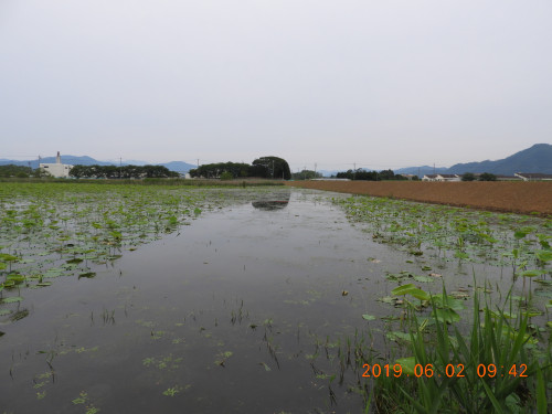 DSCN8234.JPG