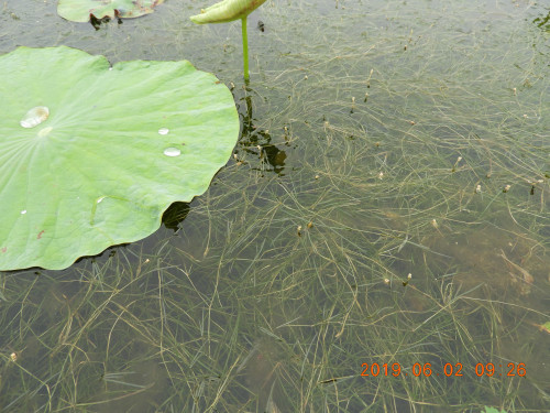 DSCN8227.JPG