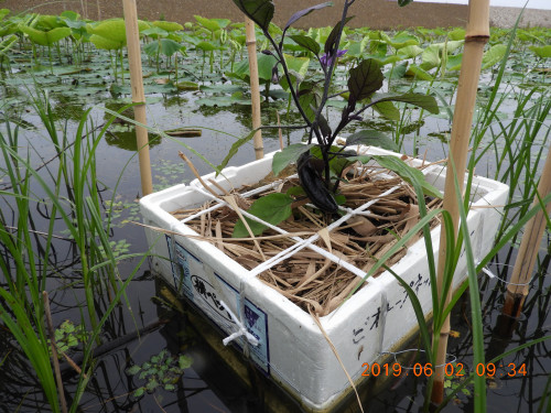 DSCN8229.JPG