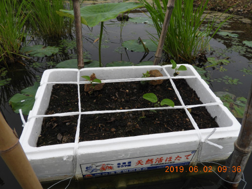 DSCN8231.JPG