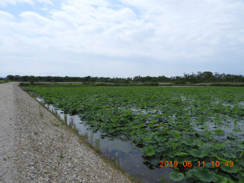 DSCN8415.JPG
