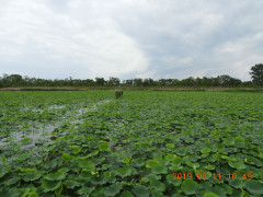 DSCN8416.JPG