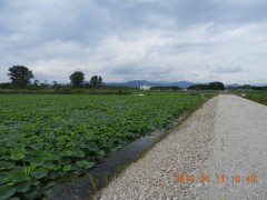 DSCN8417.JPG