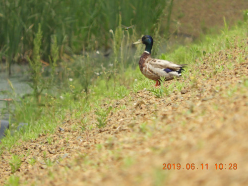 DSCN8406.JPG