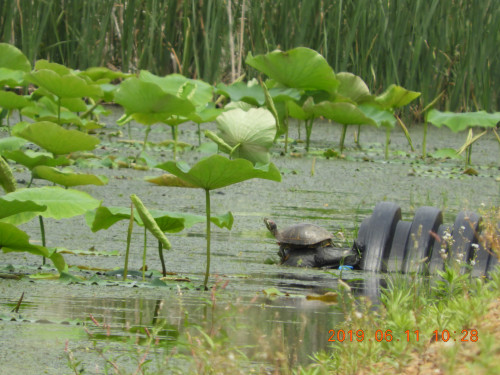 DSCN8405.JPG