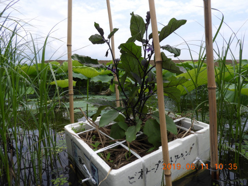 DSCN8408.JPG