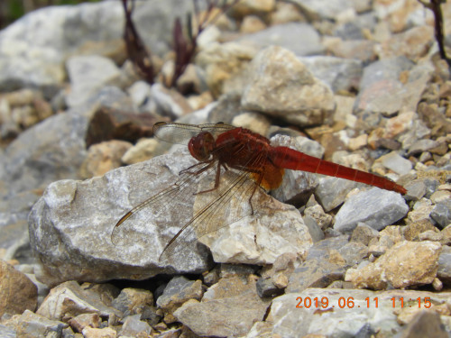 DSCN8449.JPG