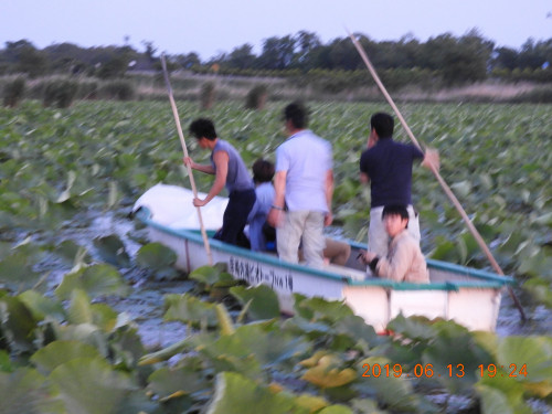 DSCN8457.JPG