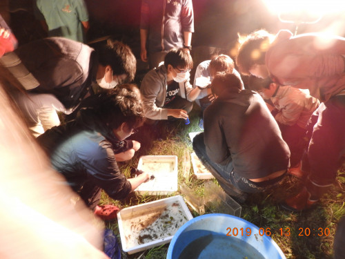 DSCN8483.JPG