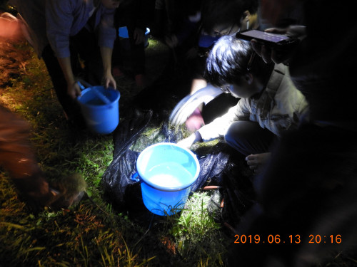 DSCN8476.JPG