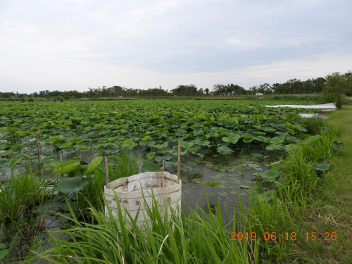 DSCN8574.JPG