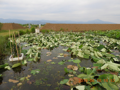 DSCN8576.JPG