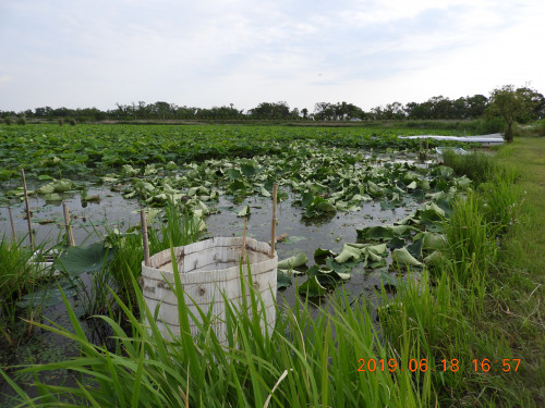 DSCN8579.JPG