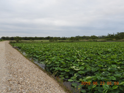 DSCN8606.JPG