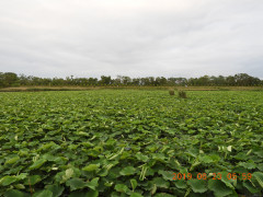 DSCN8607.JPG