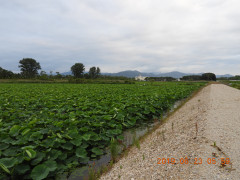 DSCN8608.JPG