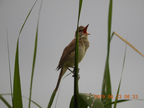 DSCN8620.JPG