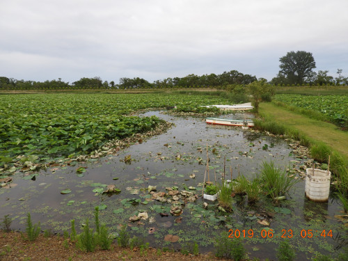 DSCN8597.JPG