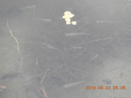 DSCN8609.JPG