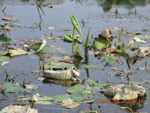 DSCN8593.JPG