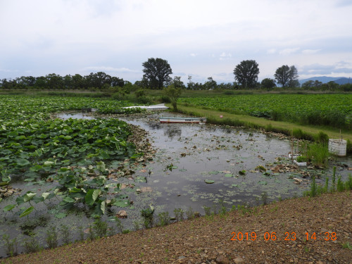 DSCN8630.JPG