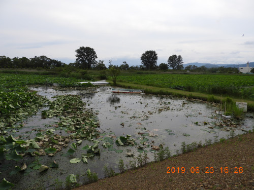 DSCN8631.JPG