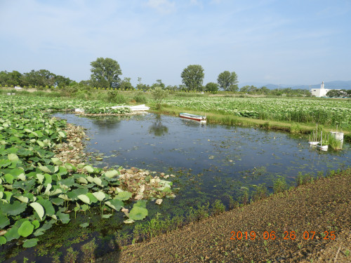 DSCN8668.JPG