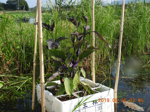 DSCN8656.JPG