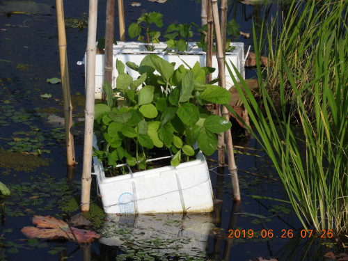 DSCN8669.JPG