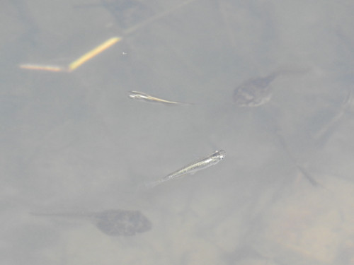 RSCN8670.JPG
