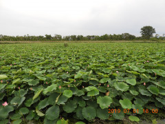 DSCN8708.JPG