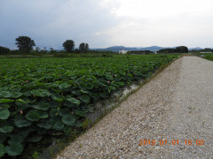 DSCN8709.JPG