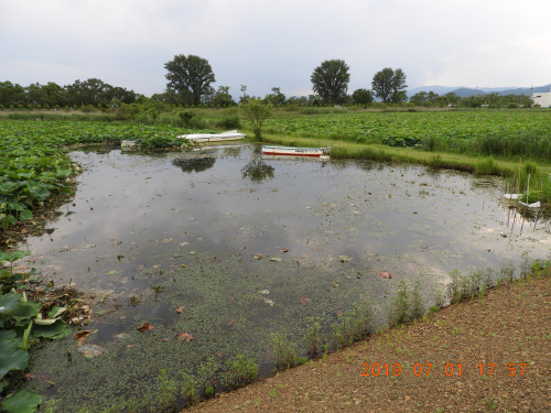 DSCN8706.JPG