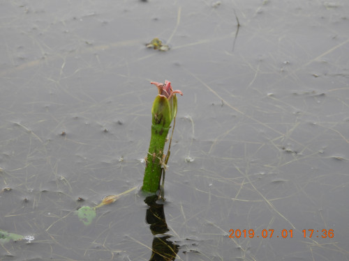 DSCN8700.JPG